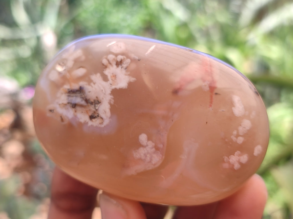 Polished Flower Agate Free Forms x 9 From Antsahalova, Madagascar - Toprock Gemstones and Minerals 