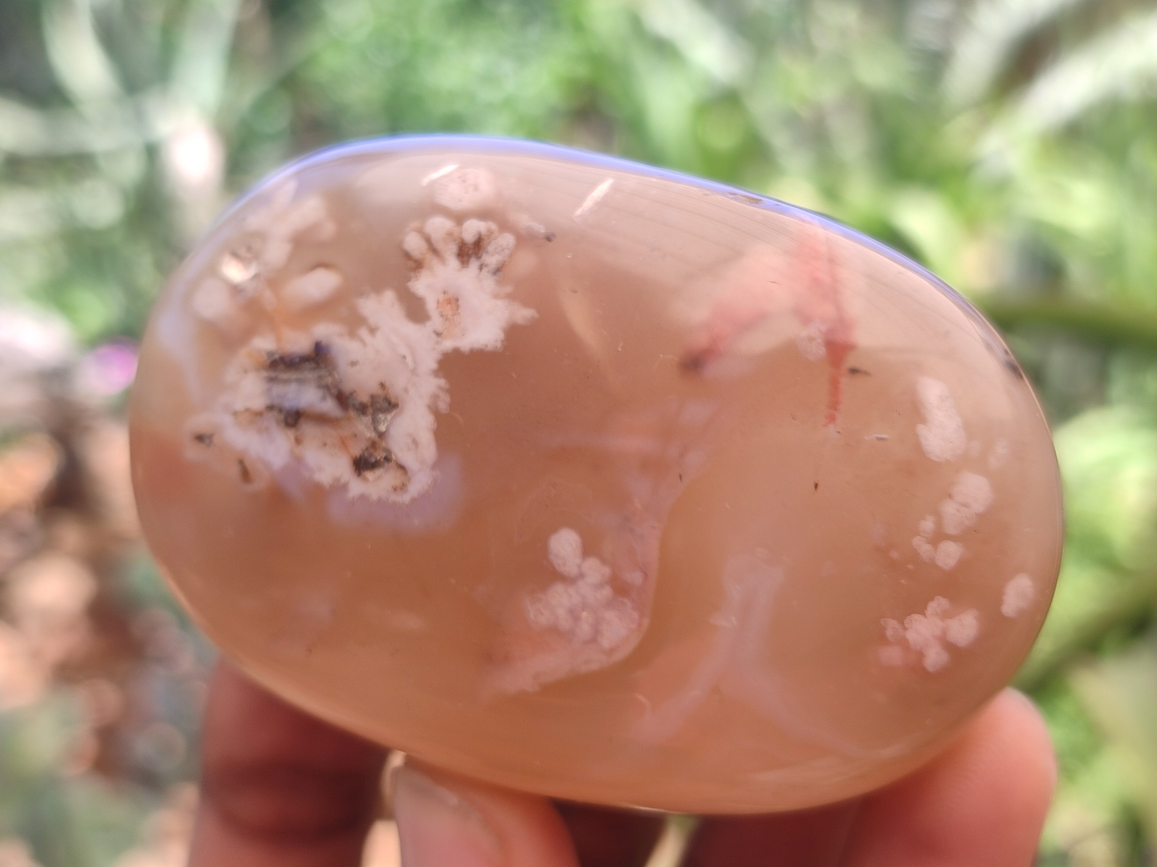 Polished Flower Agate Free Forms x 9 From Antsahalova, Madagascar - Toprock Gemstones and Minerals 