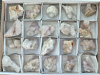 Natural Spirit Quartz Clusters x 20 From Boekenhouthoek, South Africa - Toprock Gemstones and Minerals 