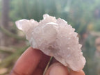 Natural Spirit Quartz Clusters x 20 From Boekenhouthoek, South Africa - Toprock Gemstones and Minerals 