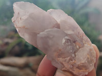 Natural Red Hematoid Quartz Clusters x 12 From Karoi, Zimbabwe