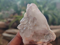 Natural Red Hematoid Quartz Clusters x 12 From Karoi, Zimbabwe