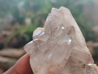 Natural Red Hematoid Quartz Clusters x 12 From Karoi, Zimbabwe