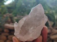 Natural Red Hematoid Quartz Clusters x 12 From Karoi, Zimbabwe