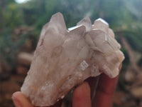 Natural Red Hematoid Quartz Clusters x 12 From Karoi, Zimbabwe