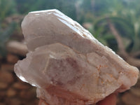 Natural Red Hematoid Quartz Clusters x 12 From Karoi, Zimbabwe