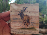 Polished Kudu Decoupage Stone Slabs x 3 From Southern Africa - Toprock Gemstones and Minerals 