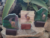 Polished Kudu Decoupage Stone Slabs x 3 From Southern Africa - Toprock Gemstones and Minerals 