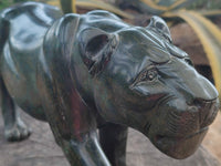 Hand Made Green Verdite Lioness Carving x 1 From Zimbabwe - Toprock Gemstones and Minerals 