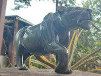 Hand Made Green Verdite Lioness Carving x 1 From Zimbabwe - Toprock Gemstones and Minerals 