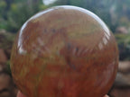 Polished Green Opal Spheres x 2 From Antsirabe, Madagascar - Toprock Gemstones and Minerals 