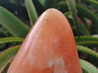 Polished Orange Twist Calcite Standing Free Form x 1 From Maevantanana, Madagascar - Toprock Gemstones and Minerals 