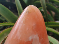 Polished Orange Twist Calcite Standing Free Form x 1 From Maevantanana, Madagascar - Toprock Gemstones and Minerals 