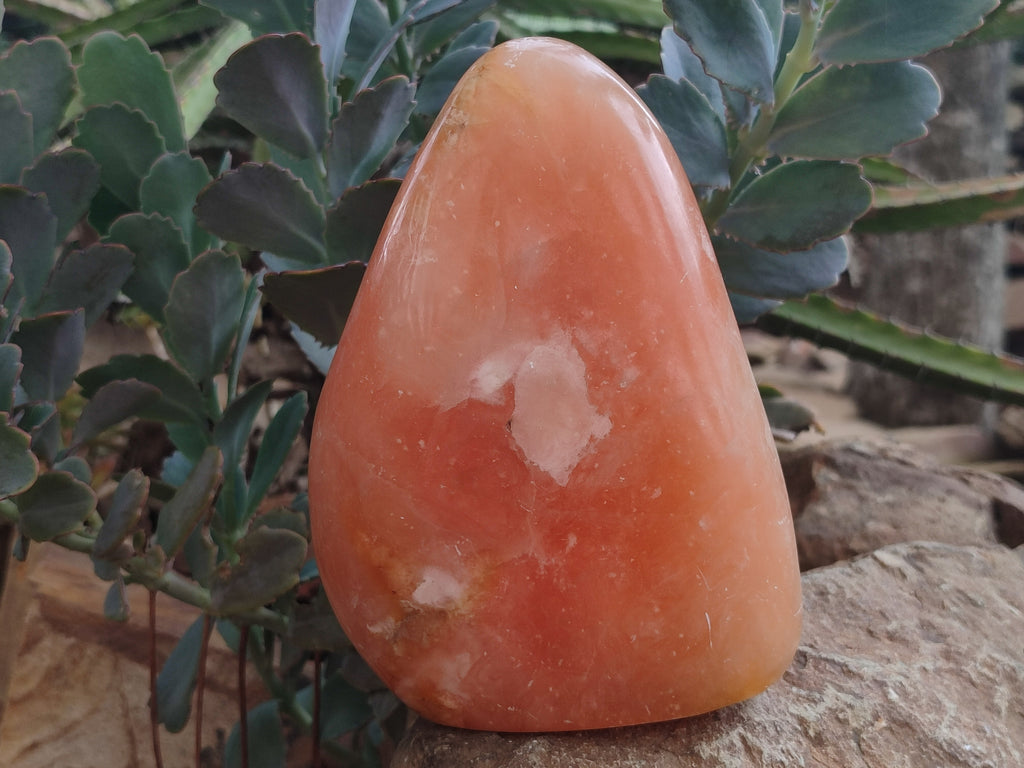 Polished Orange Twist Calcite Standing Free Form x 1 From Maevantanana, Madagascar - Toprock Gemstones and Minerals 