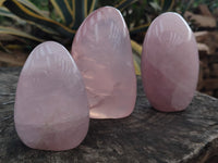 Polished Rose Quartz Standing Free Forms x 3 From Madagascar - Toprock Gemstones and Minerals 