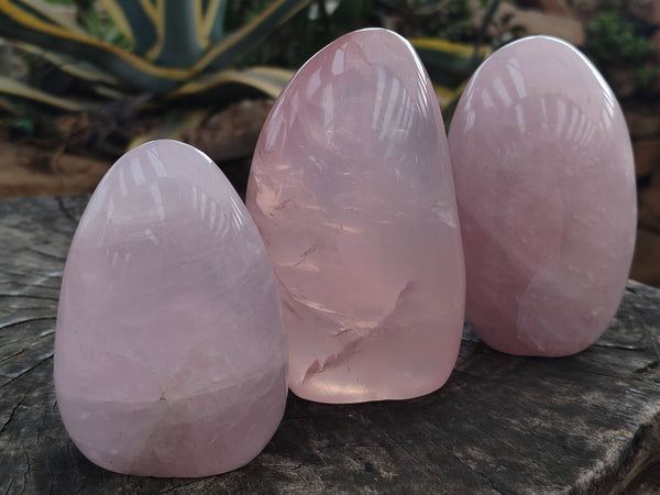 Polished Rose Quartz Standing Free Forms x 3 From Madagascar - Toprock Gemstones and Minerals 