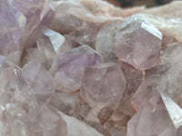 Natural Jacaranda Amethyst Quartz Cluster x 1 from Mumbwa, Zambia