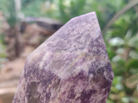 Polished Lepidolite with Pink Rubellite Point x 1 From Ambatondrazaka, Madagascar - Toprock Gemstones and Minerals 