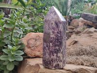 Polished Lepidolite with Pink Rubellite Point x 1 From Ambatondrazaka, Madagascar - Toprock Gemstones and Minerals 