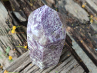 Polished Lepidolite with Pink Rubellite Point x 1 From Ambatondrazaka, Madagascar - Toprock Gemstones and Minerals 