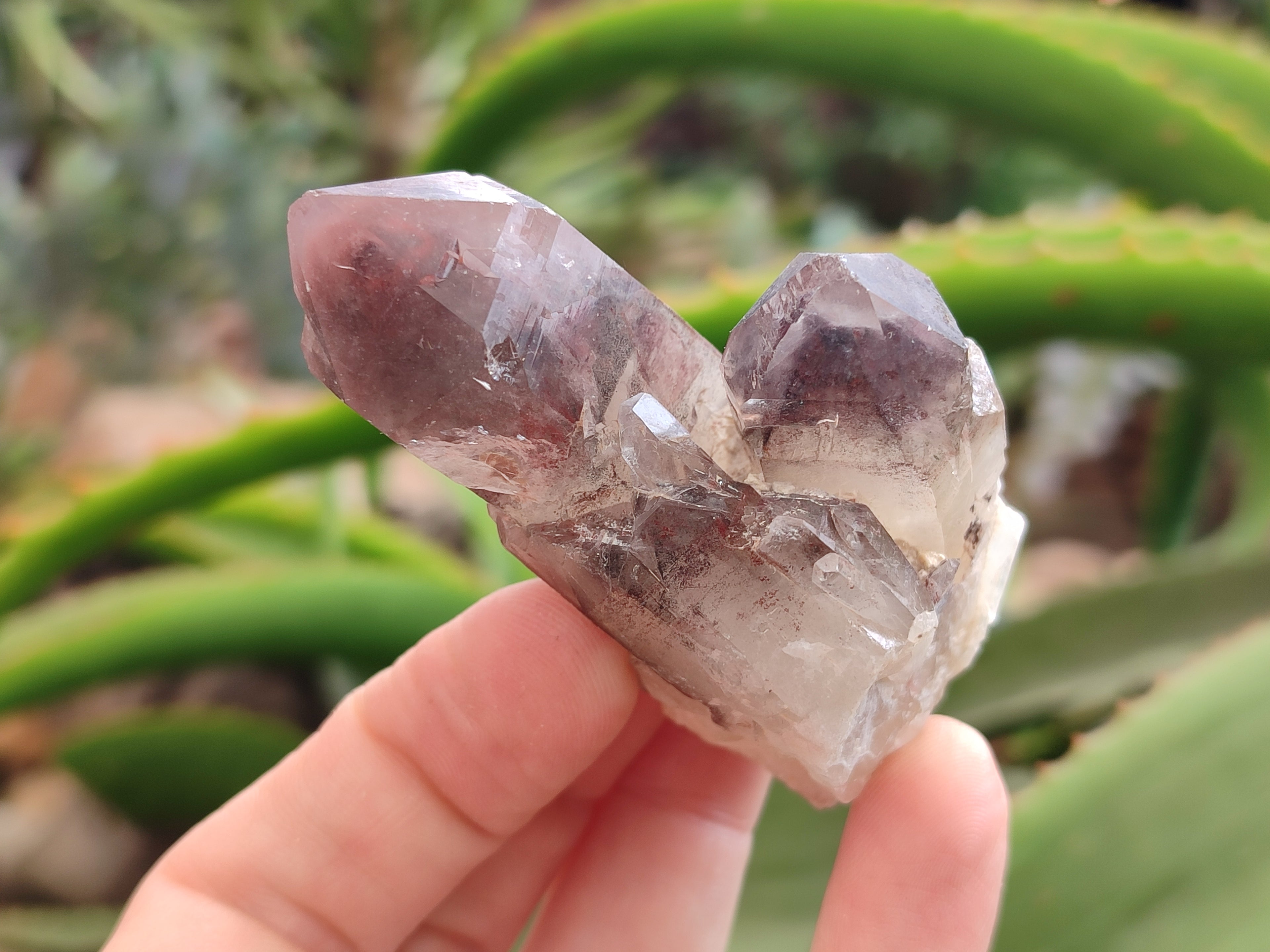 Natural Red Hematoid Quartz Crystals x 12 From Karoi, Zimbabwe - Toprock Gemstones and Minerals 