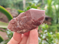 Natural Red Hematoid Quartz Crystals x 12 From Karoi, Zimbabwe - Toprock Gemstones and Minerals 