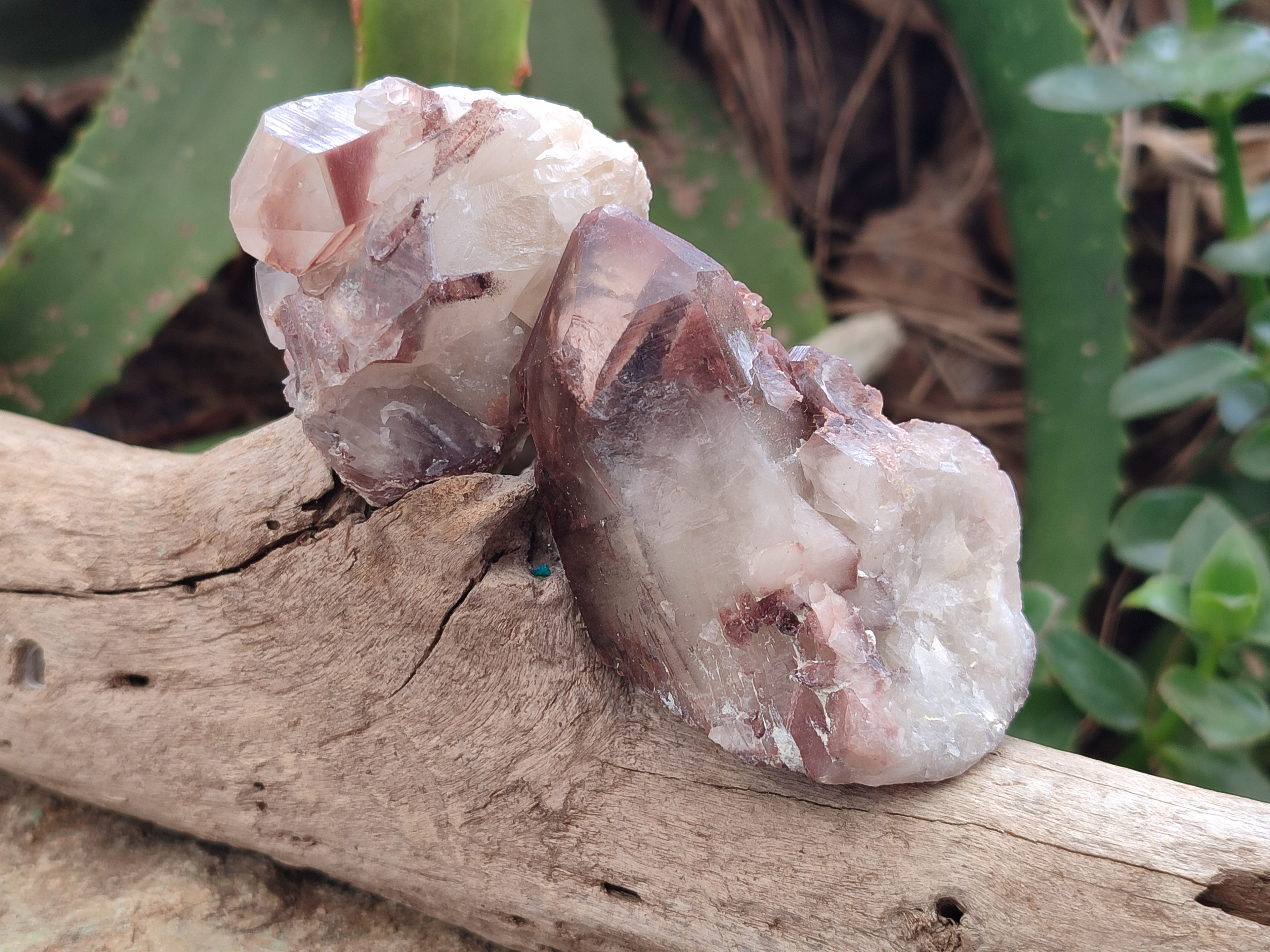 Natural Red Hematoid Quartz Crystals x 12 From Karoi, Zimbabwe - Toprock Gemstones and Minerals 