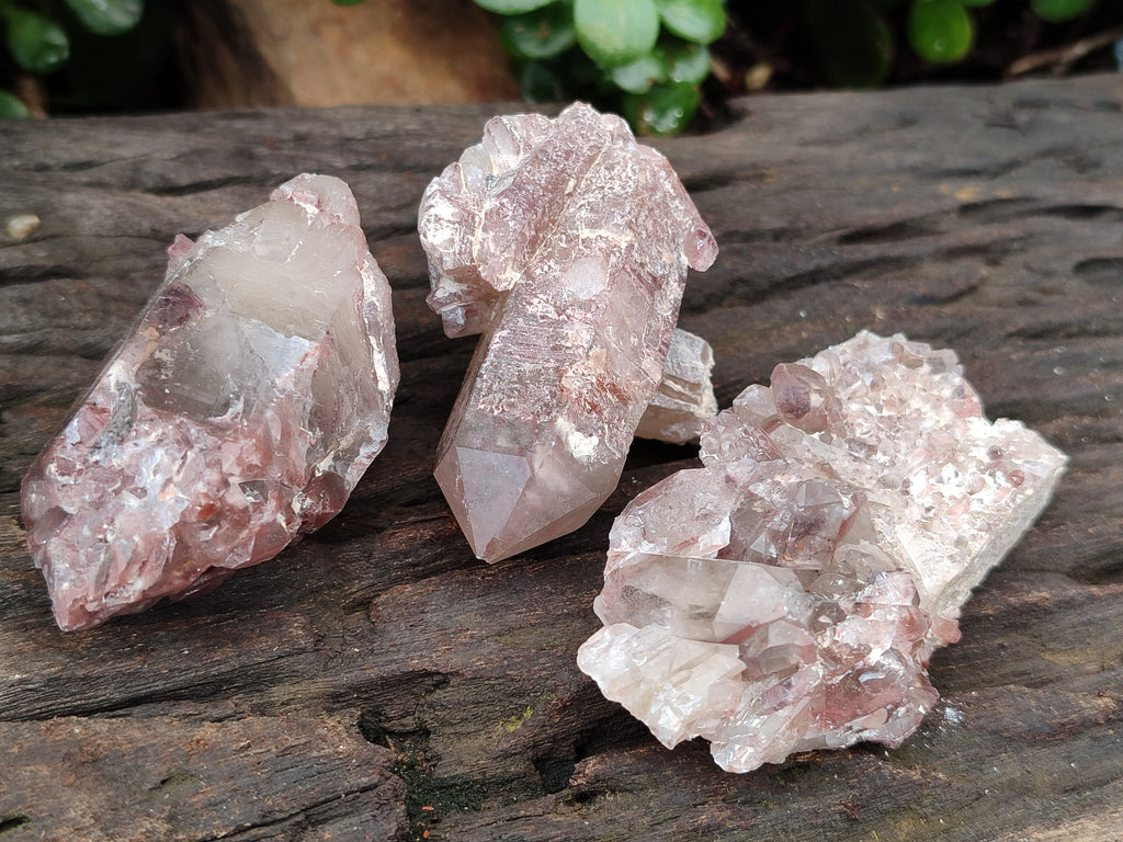 Natural Red Hematoid Quartz Crystals x 12 From Karoi, Zimbabwe - Toprock Gemstones and Minerals 