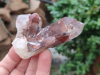 Natural Red Hematoid Quartz Crystals x 12 From Karoi, Zimbabwe - Toprock Gemstones and Minerals 