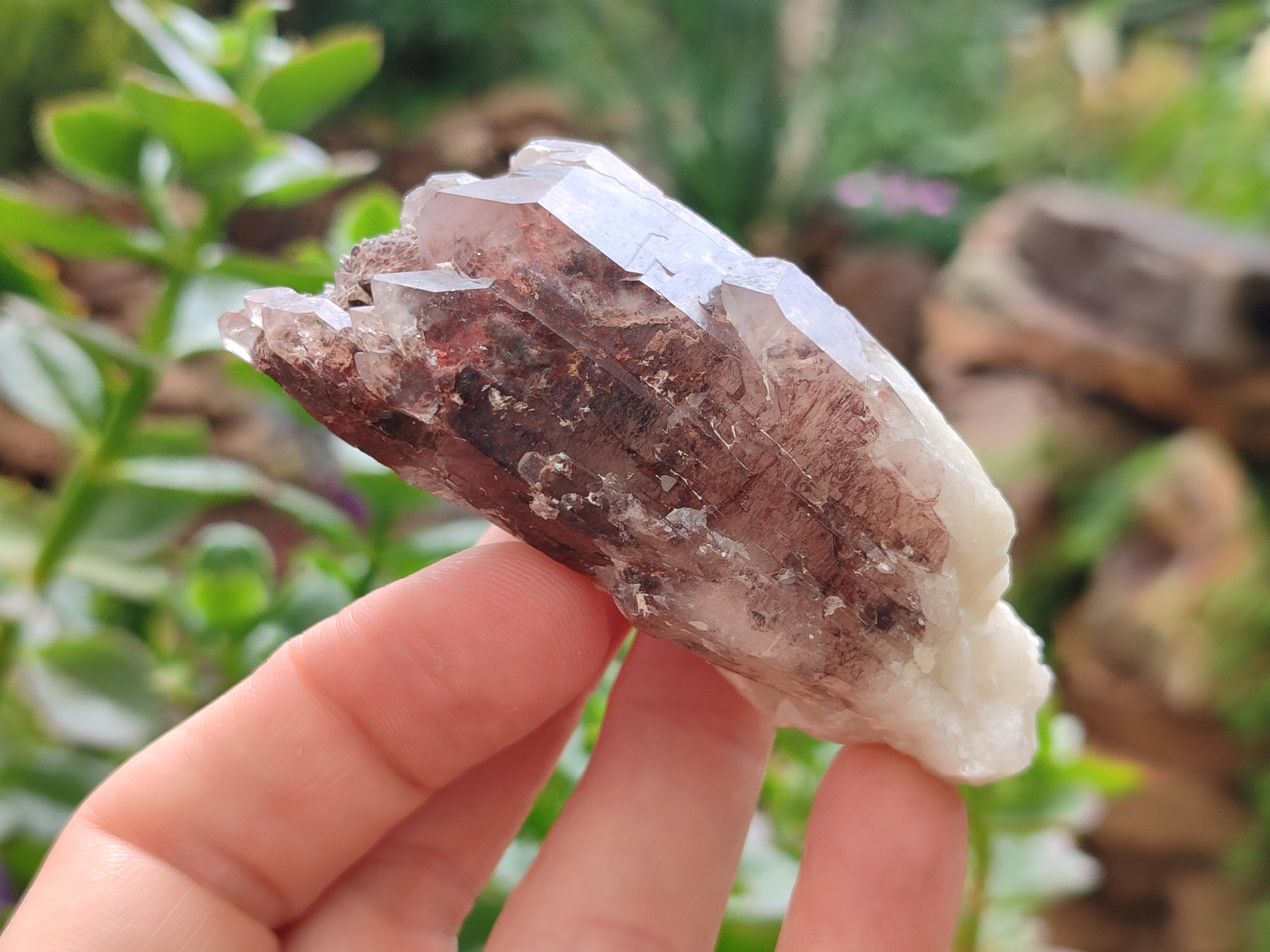 Natural Red Hematoid Quartz Crystals x 12 From Karoi, Zimbabwe - Toprock Gemstones and Minerals 