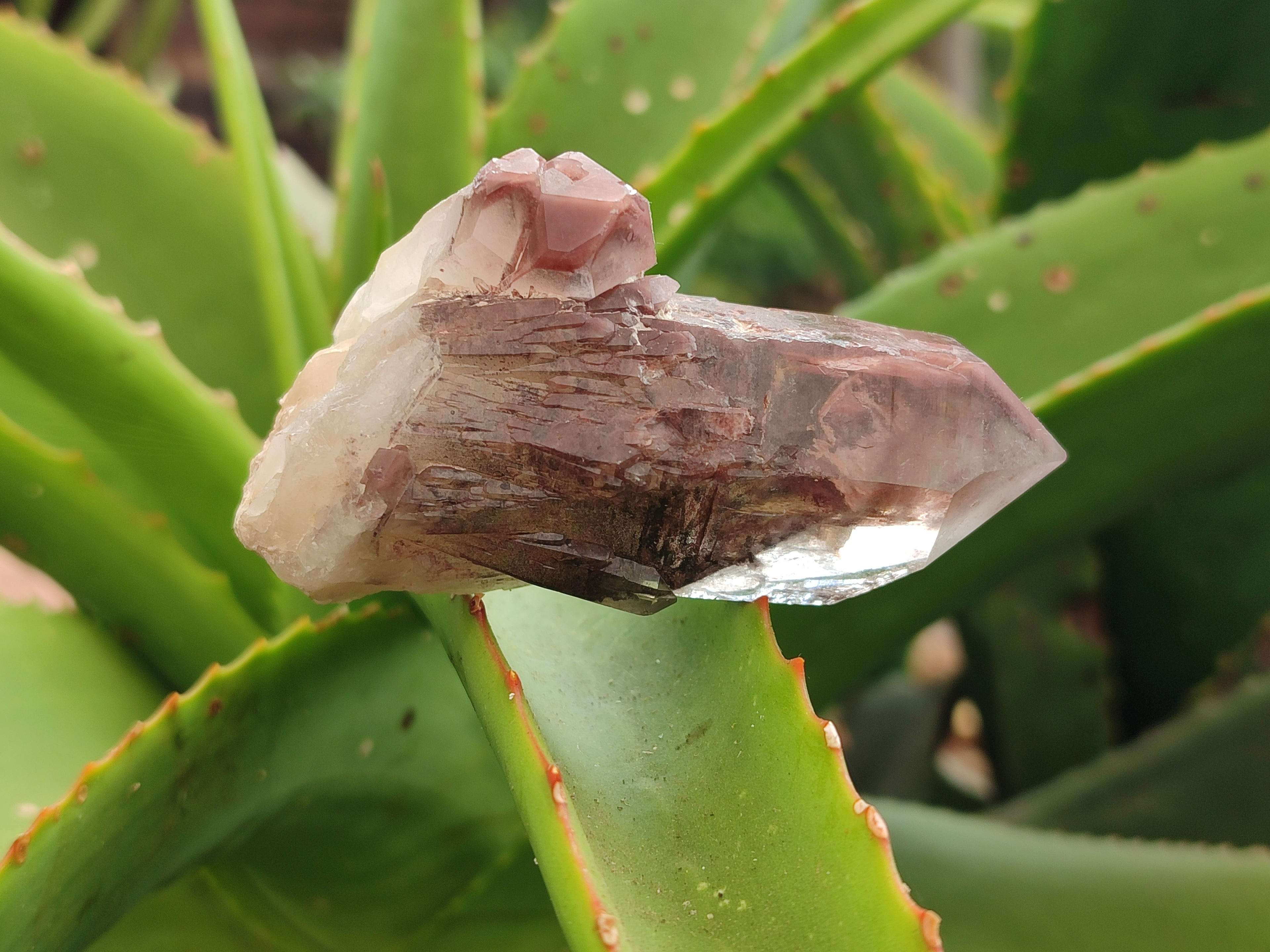 Natural Red Hematoid Quartz Crystals x 12 From Karoi, Zimbabwe - Toprock Gemstones and Minerals 