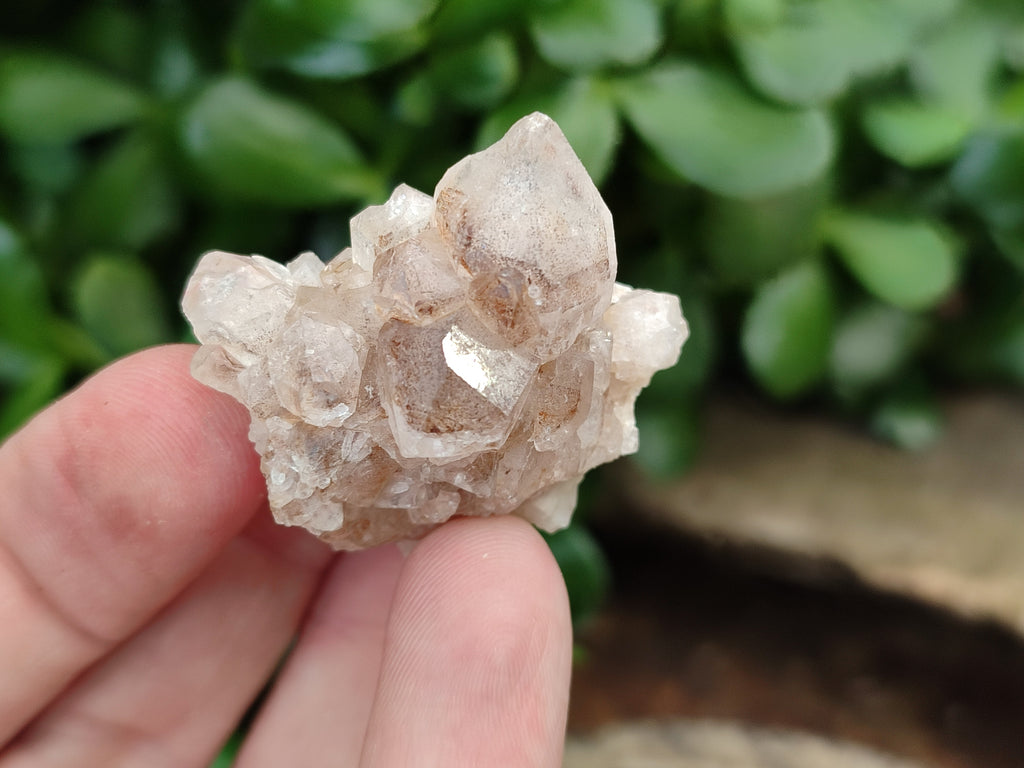 Natural Limonite Quartz Clusters x 70 From Solwezi, Zambia - Toprock Gemstones and Minerals 