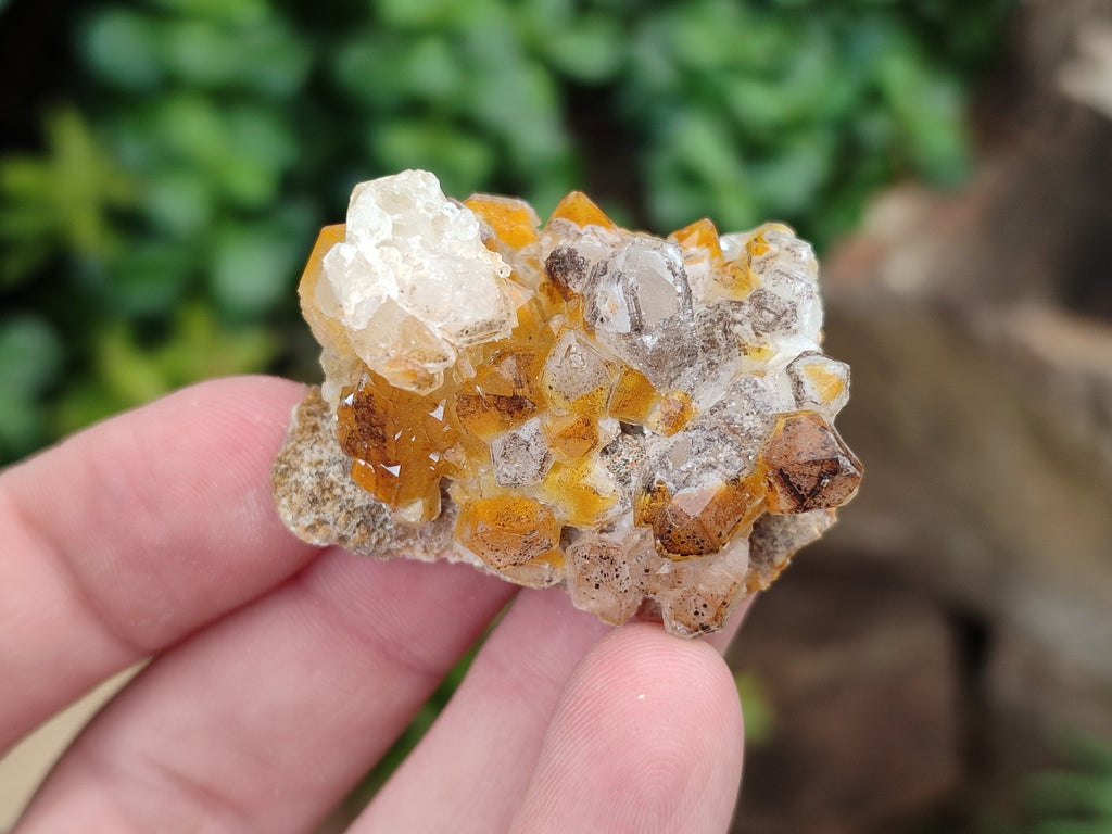 Natural Limonite Quartz Clusters x 70 From Solwezi, Zambia - Toprock Gemstones and Minerals 