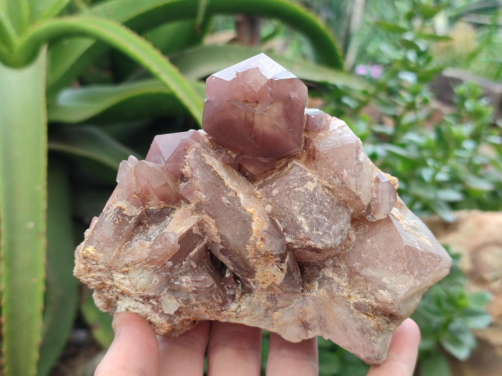 Natural Red Hematoid Quartz Clusters x 2 From Karoi, Zimbabwe - Toprock Gemstones and Minerals 