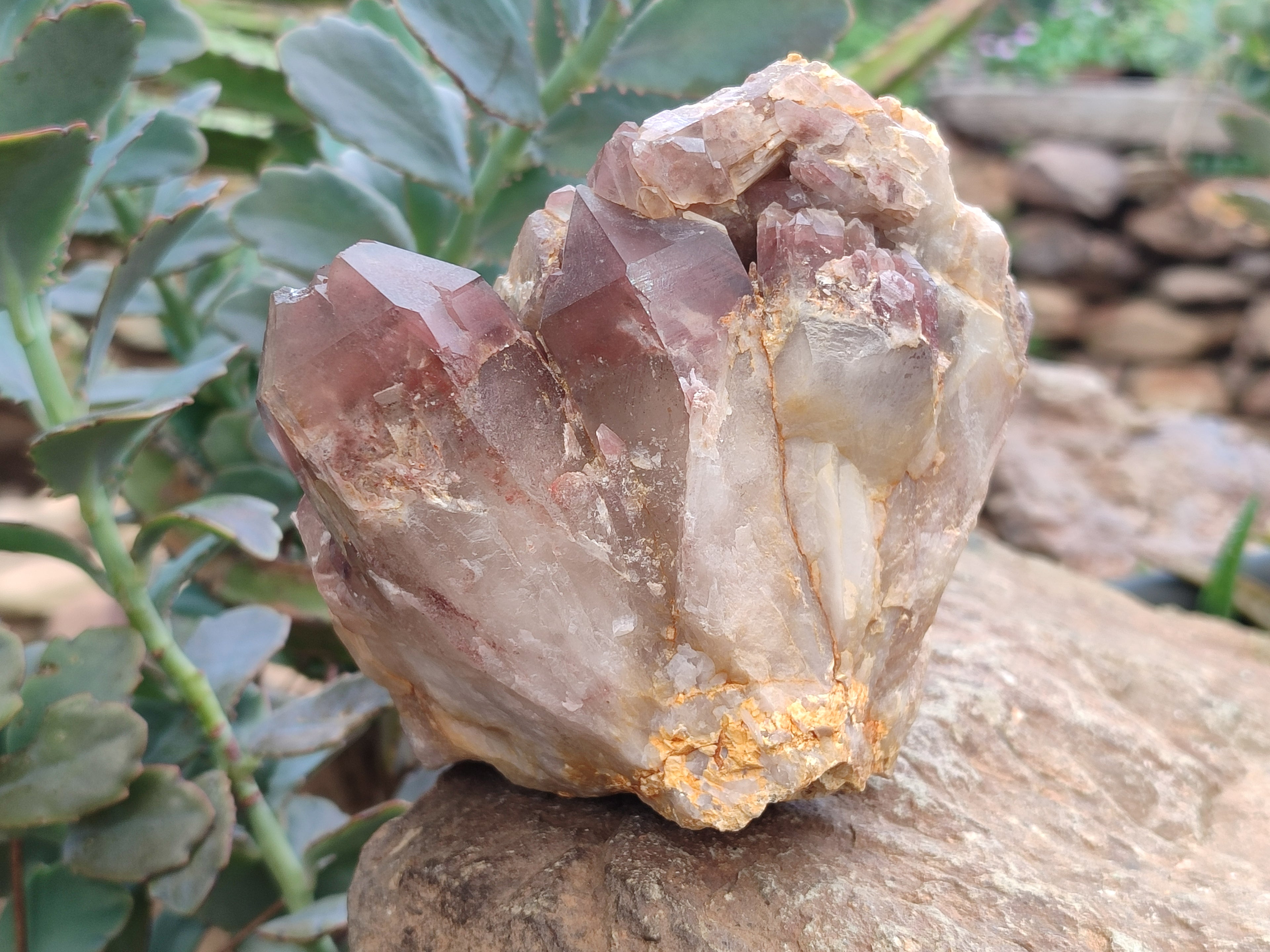 Natural Red Hematoid Quartz Clusters x 2 From Karoi, Zimbabwe - Toprock Gemstones and Minerals 