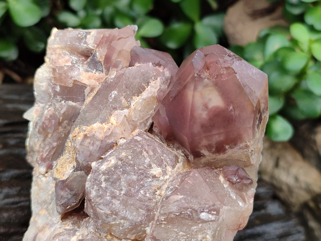 Natural Red Hematoid Quartz Clusters x 2 From Karoi, Zimbabwe - Toprock Gemstones and Minerals 