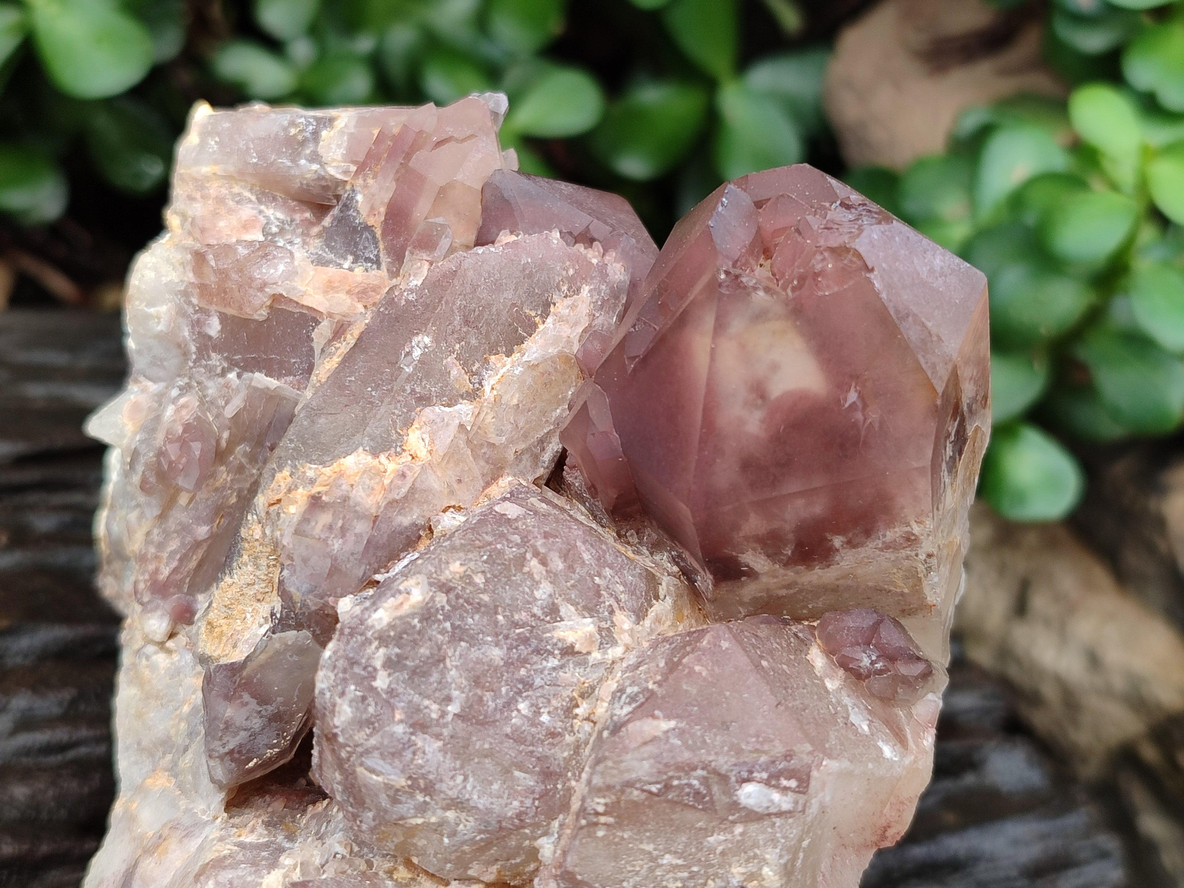 Natural Red Hematoid Quartz Clusters x 2 From Karoi, Zimbabwe - Toprock Gemstones and Minerals 