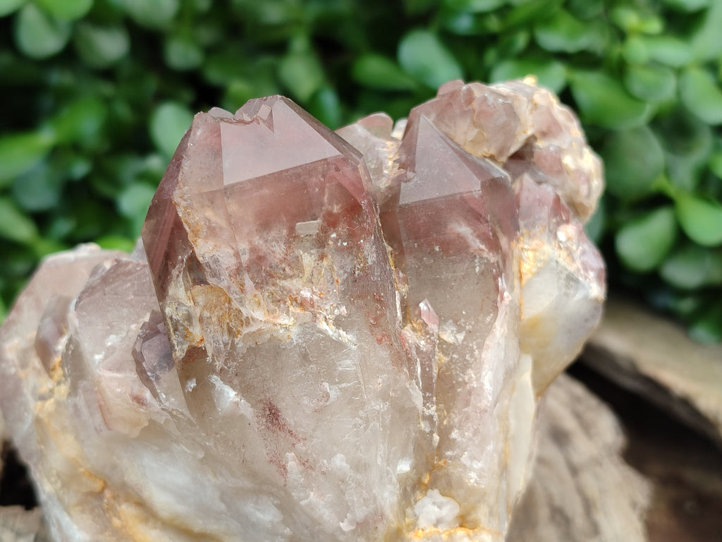 Natural Red Hematoid Quartz Clusters x 2 From Karoi, Zimbabwe - Toprock Gemstones and Minerals 