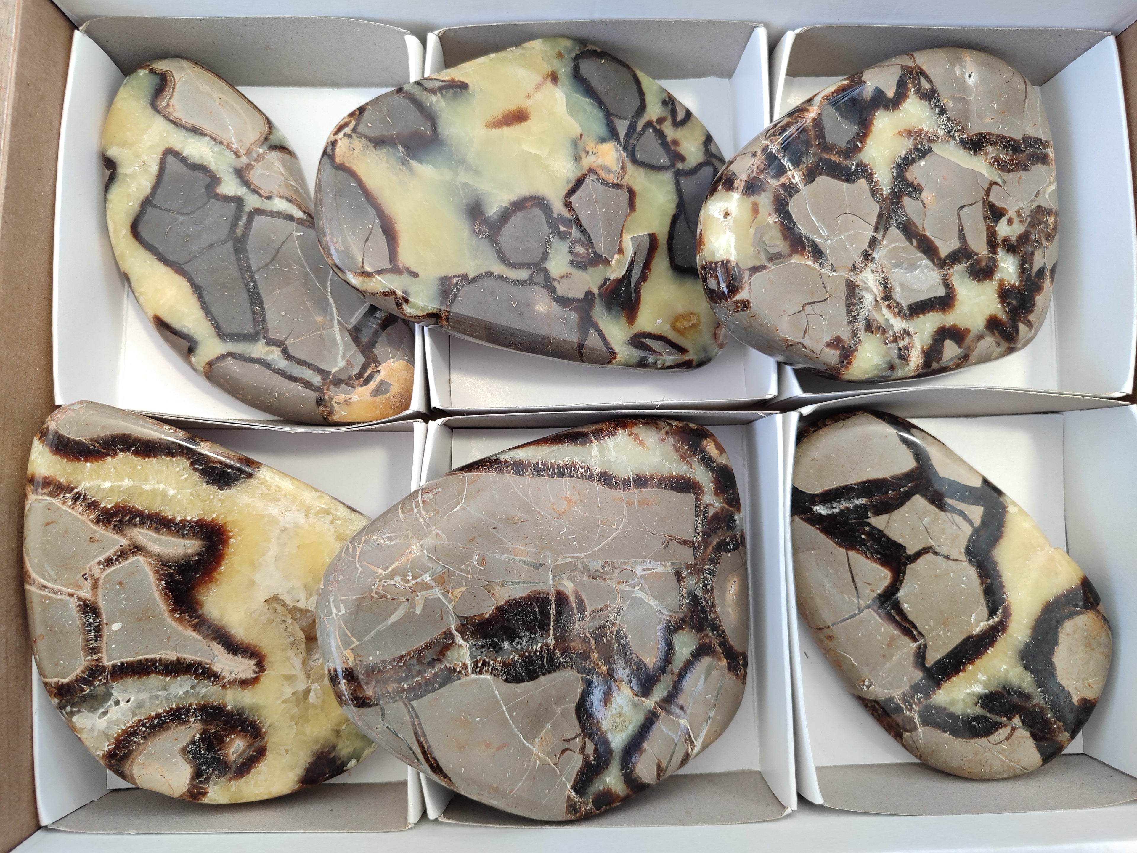 Polished Septerye Slices x 6 From Mahajanga, Madagascar - Toprock Gemstones and Minerals 