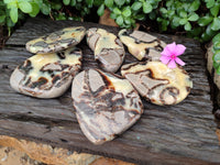 Polished Septerye Slices x 6 From Mahajanga, Madagascar