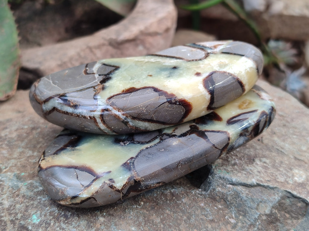 Polished Septerye Slices x 6 From Mahajanga, Madagascar - Toprock Gemstones and Minerals 