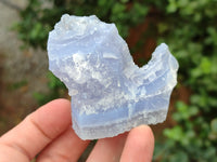 Natural Etched Blue Chalcedony Specimens x 12 From Nsanje, Malawi - Toprock Gemstones and Minerals 