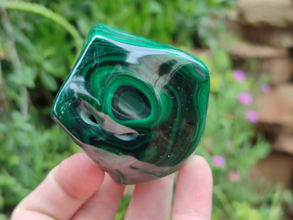 Polished Flower Banded Malachite Free Forms x 6 From Congo - Toprock Gemstones and Minerals 