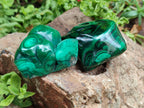 Polished Flower Banded Malachite Free Forms x 6 From Congo - Toprock Gemstones and Minerals 
