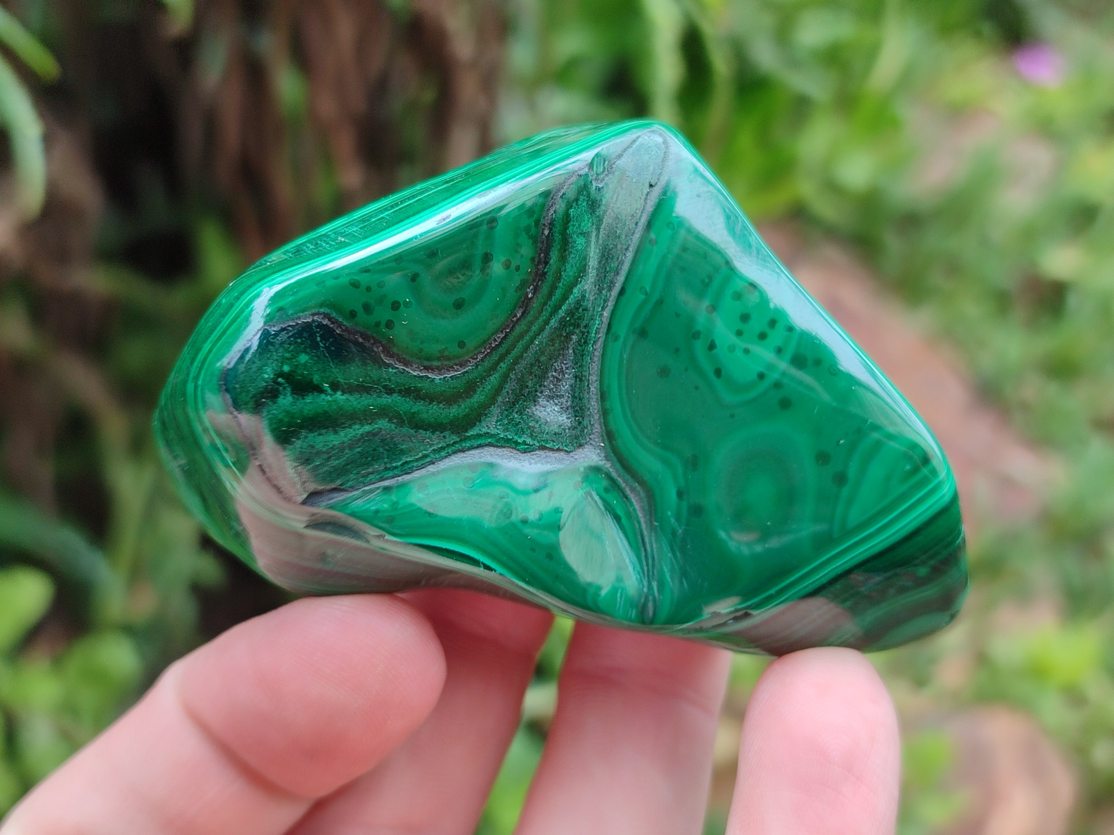 Polished Flower Banded Malachite Free Forms x 6 From Congo - Toprock Gemstones and Minerals 