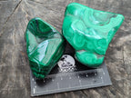 Polished Flower Banded Malachite Free Forms x 6 From Congo - Toprock Gemstones and Minerals 