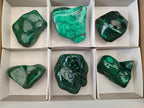 Polished Flower Banded Malachite Free Forms x 6 From Congo - Toprock Gemstones and Minerals 