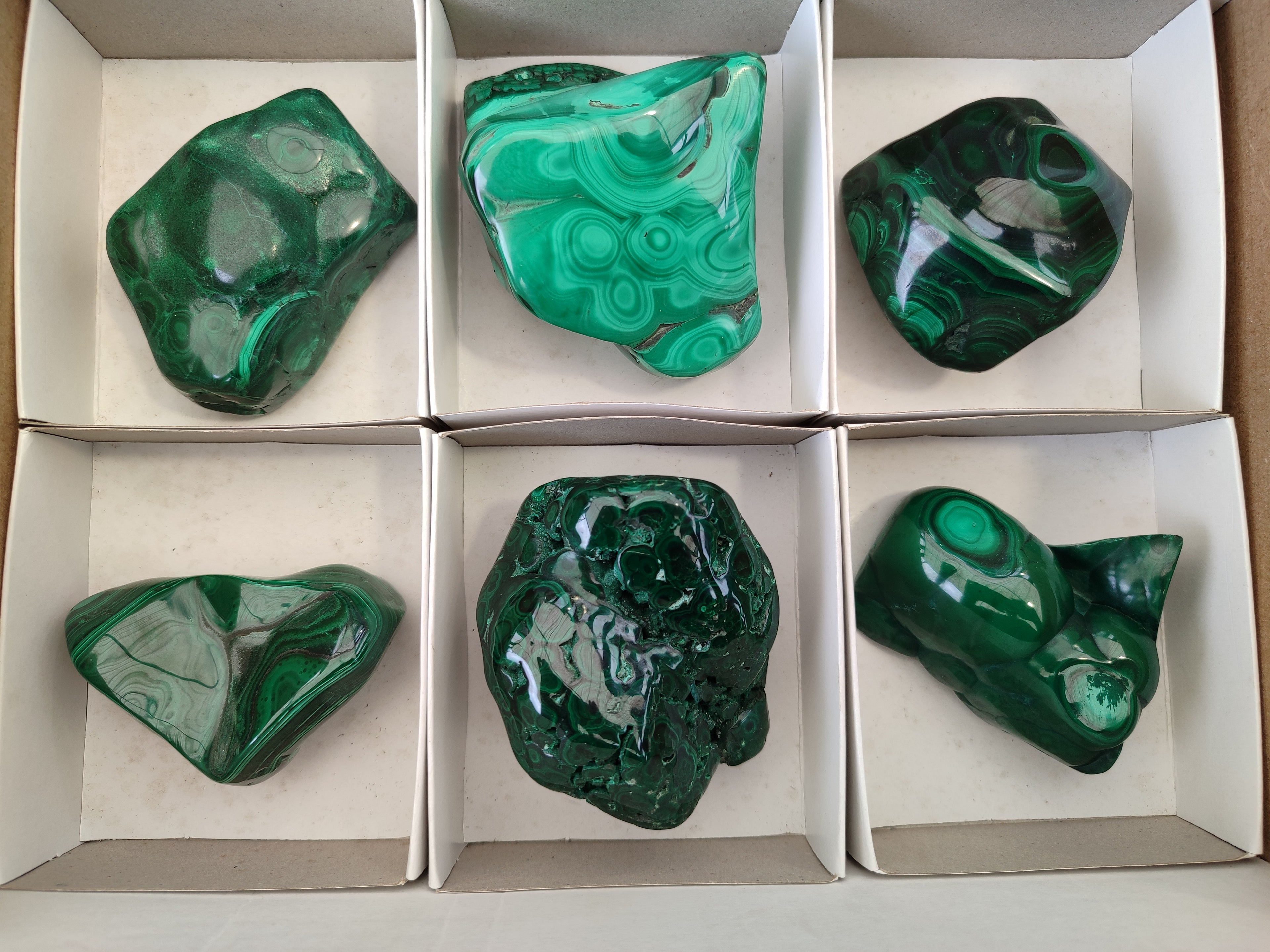 Polished Flower Banded Malachite Free Forms x 6 From Congo - Toprock Gemstones and Minerals 