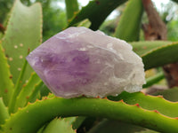 Polished Jacaranda Amethyst Quartz Crystals x 6 from Mumbwa, Zambia - Toprock Gemstones and Minerals 
