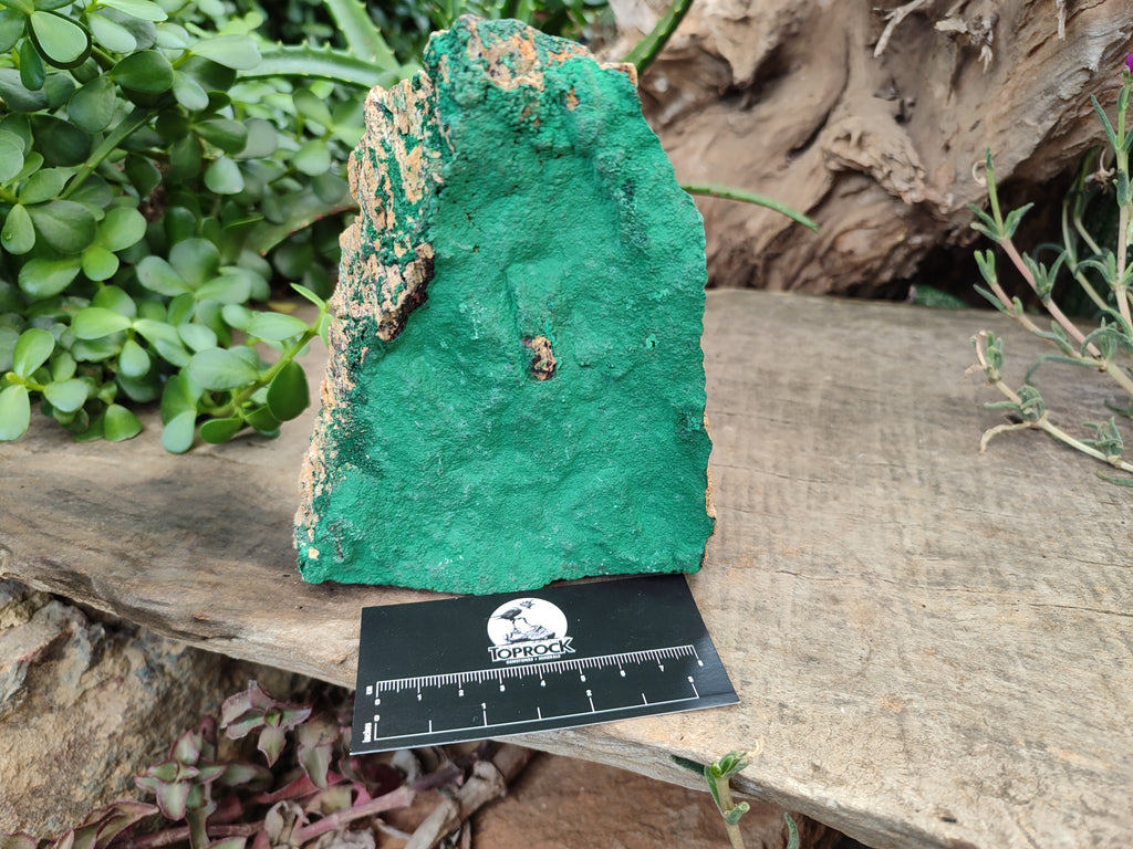 Natural Botryoidal Malachite Specimens x 2 From Congo - Toprock Gemstones and Minerals 